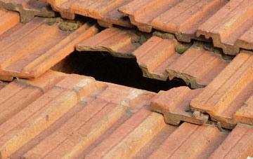 roof repair Cheswell, Shropshire